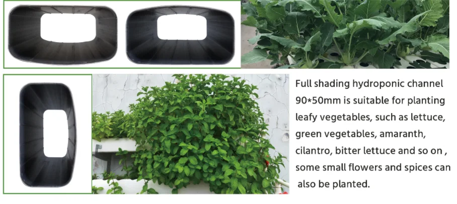 Low Cost Vertical Hydroponic Nft Growing System For Vegetables - Buy ...