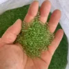 Verde fruta transparente de 3 mm