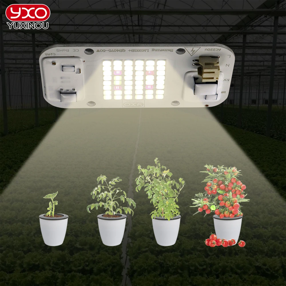 Акция оптовая продажа Драйвер Ic Smart 50 Вт COB светодиодный чип 395nm 660nm полный спектр для выращивания растений