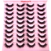 20pairs-ja19