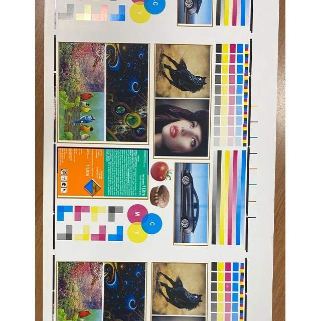 Flexographic Printers 6 Color Reel Paper Horizontal Flexo Printing Machine