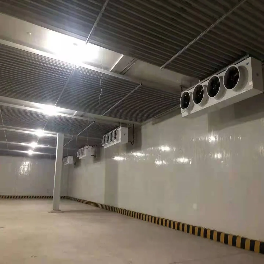 Customized square Meter Cold Room Storage air Cooler Freezing Cold Food Container for Supermarket Made in China