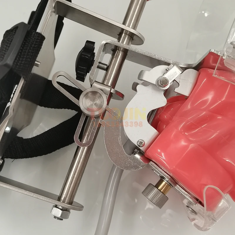 
 Горячая Распродажа, модель зубов, медицинское оборудование, модель зубной фантомной головки, стоматологический школьный тренажер, наборы аксессуаров  