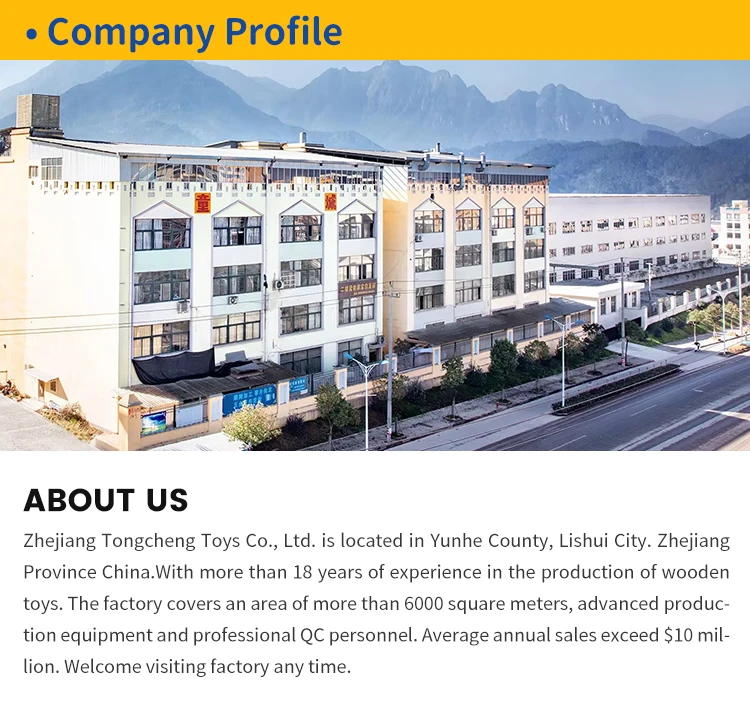 Company overview