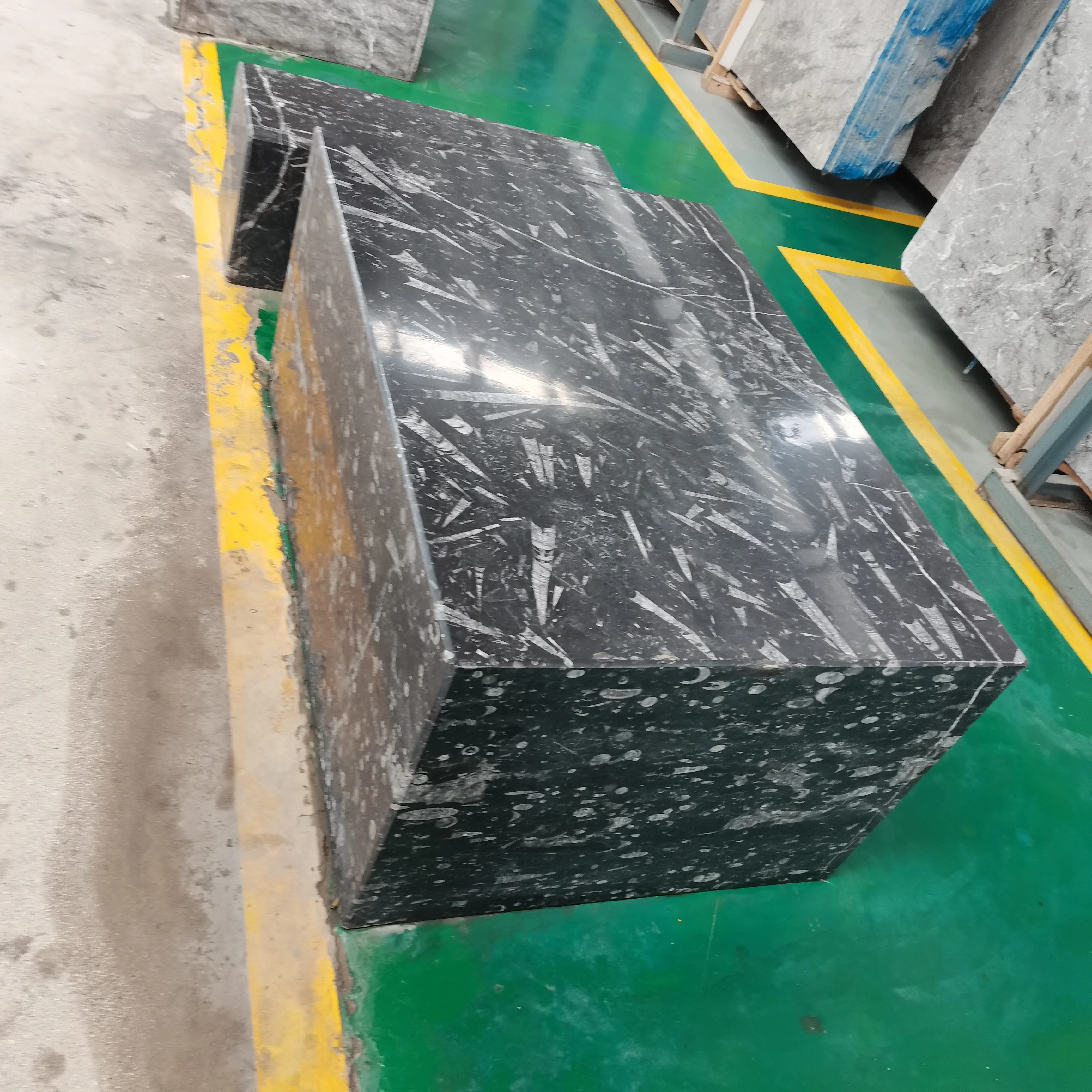Hot Sale Natural Moroccan Fossil Marble With Low Price