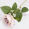 Purple - C