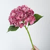 สีม่วง