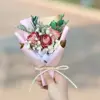 Rosa rosa