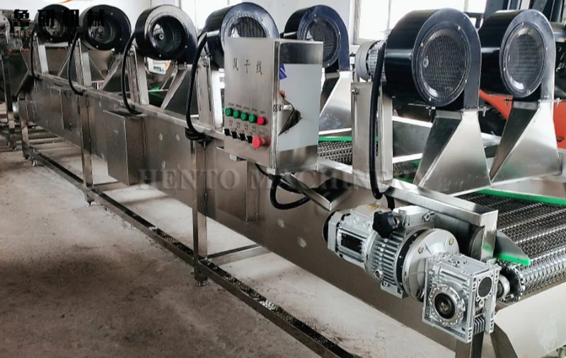 Fruit and Vegetable Washing Drying Line / Fruit Vegetables Cutting Equipment / Freeze Dried Fruit Slices Machine