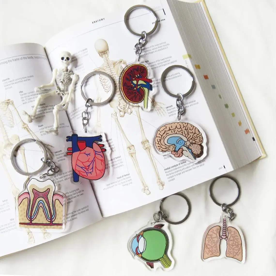 Internal Organs Kidney Teeth Eye Anatomy Keychain For Doctor Nurse