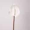 Soft glue anthurium-white