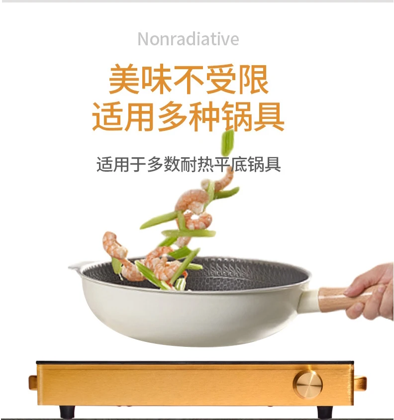 2023 New Design Solar Powered Stove Cooker 12v Dc 600w Battery Powered