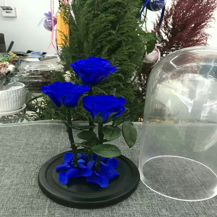 Beautiful A Grade Real Touch Preserved Rose Head 56 Cm Rose Bud 6