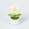 ดอกไม้ขนสัตว์สีขาว