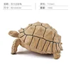 Colorido Q9899-S591 Sukada Tortuga 155g