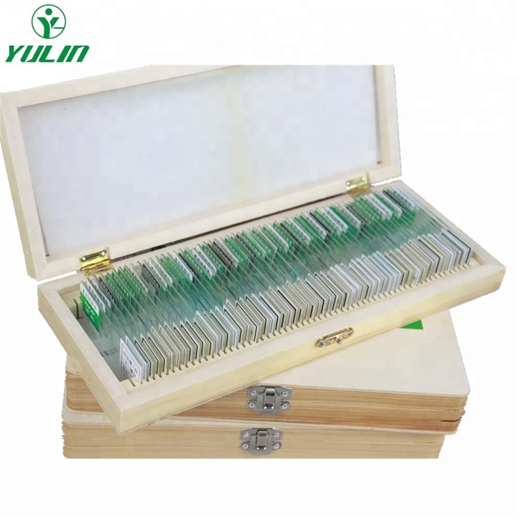 Medical Science Teaching Resources Educational Equipment Animal and Parasitology Microscope Prepared Glass Slides