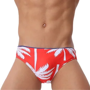 Custom Men's Swimming Briefs Printed Swimwear Bikini Trunks 1-Piece Wholesale Mens Swimsuit