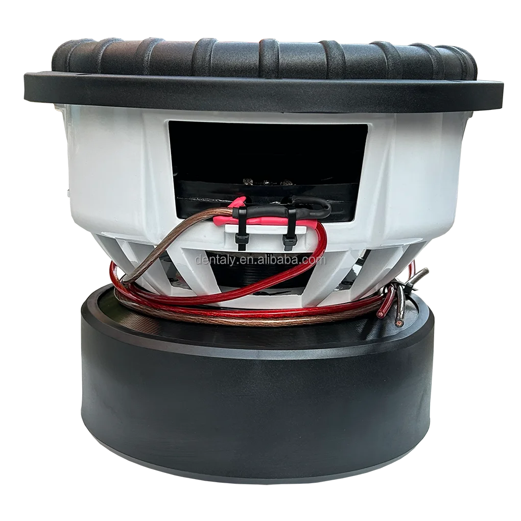 5000W RMS Dual 1 Ohm Competition Subwoofer - 10000W Max Power Car Audio ...