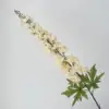 แชมเปญ
