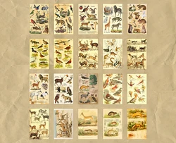 60 шт. крафт-бумага винтажный Декор старые стильные бумаги для декора скрапбукинга