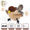 House Sparrow Sound + Wing Movement + Adjustable Wing Speed
