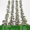Apple leaf vines (2 vines per pack)