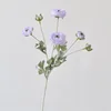 Viola chiaro