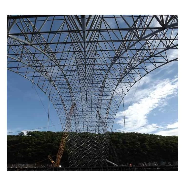 Professional Design Steel Space Frame Structure Arched Roof Construction Structure