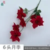 6-headed rose XY Red