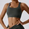 Bra (Gray)