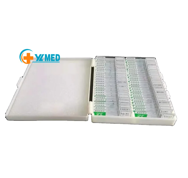 Teaching Resources Medical Science Histology Prepared Microscope Slides/Ovary of Rabbit Sec Slides