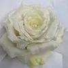 สีขาวครีม