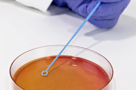 Laboratory 1ul 5ul 10ul Disposable Inoculating Loops and Plastic ...