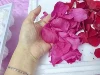 petalo di rosa rosa scuro