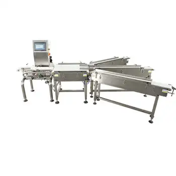 Automatic Conveyor Belt Checkweigher and Weight Sorting Machine Combined System