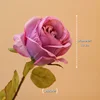 10/Borde mejorado-Rosa/púrpura