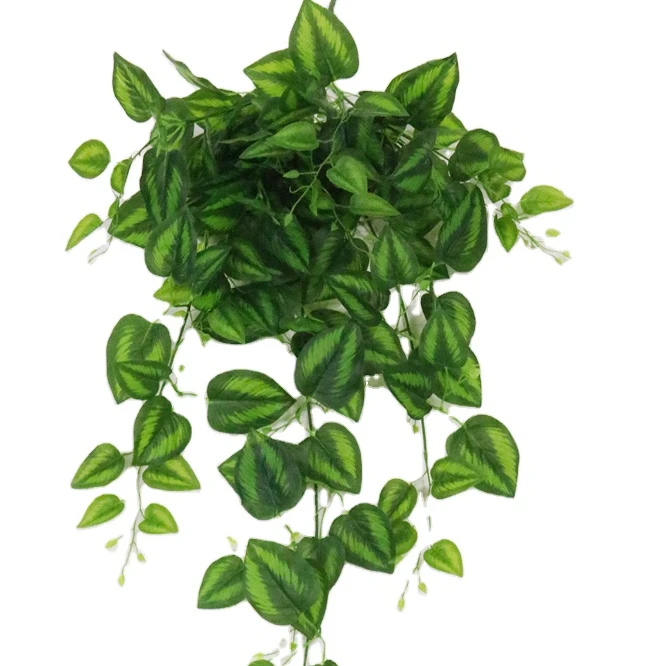 Plantas Artificiales Para Decoración Del Hogar,Enredadera Colgante De  Imitación Para Pared,Hojas Artificiales - Buy Poinsettia Flores Artificiales  Planta,Las Lentejas De La Planta De Procesamiento,Hojas Artificiales  Product on Alibaba.com