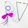 Colorful Purple Dragonfly