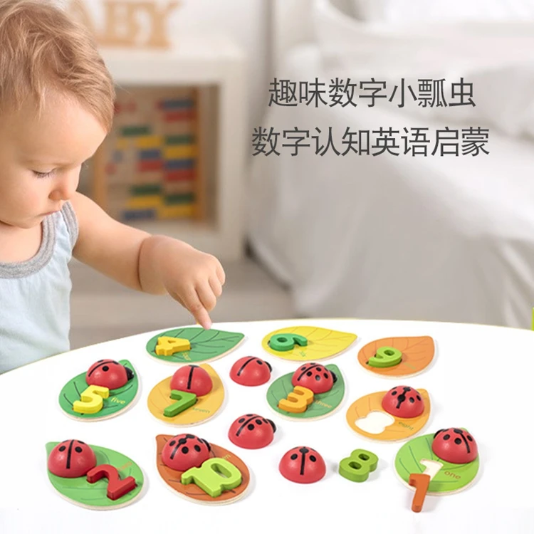 HOYE CRAFT Montessori Math Counting Toy 1-10 for Kids