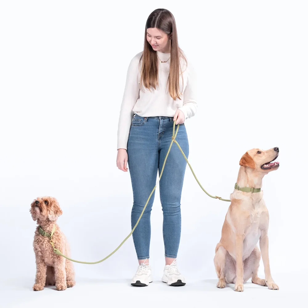 Heavy Duty Rope Dog Collar Leash Durable Premium Quality Sturdy