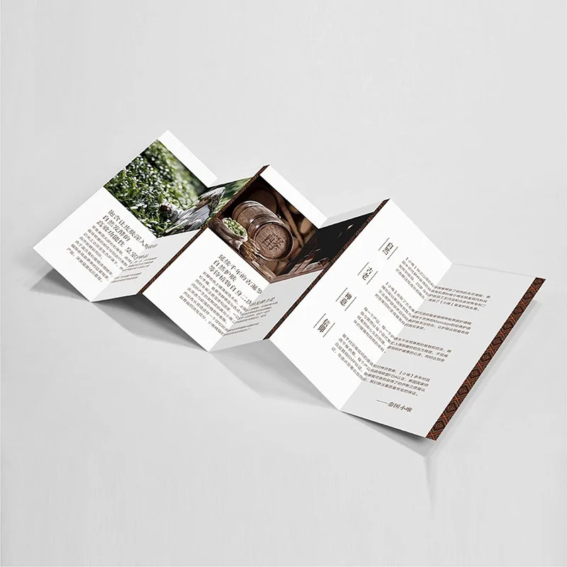 Full Color Booklet Catalog Leaflet Printing With Glossy Finish Service Custom Size