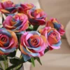 สีชมพู สีเหลือง สีฟ้า สีรุ้ง 1