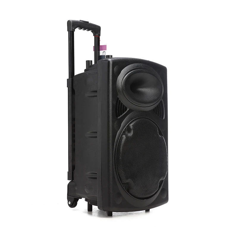 10 Inch Multi Media Wireless Trolly Speaker Dj Portable Trolley Speaker System With Replaceable Battery