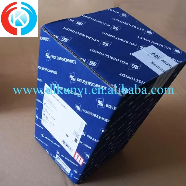 Original KOLBENSCHMIDT EW180C EC210 D6E Big End Bearings Std 79411600