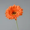 Arancione