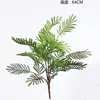 Springtime of the Mimosa Fern