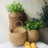 สีดำสีกากี