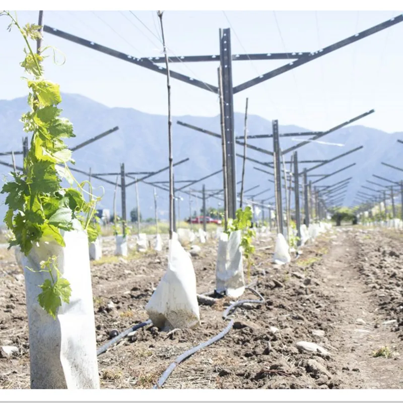 Direct Factory Steel Zinc Coating Table Grape Plantation Vineyard "Y" Shape Grape Open Gable Trellis Poles System
