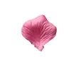 Rosa intenso