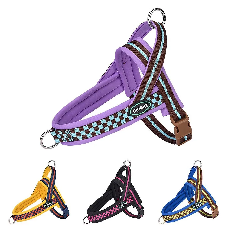 Hot Selling Colorful Outdoor Dog Harness Breathable Comfortable Adjustable for Small Medium Dogs Pet Products supplier
